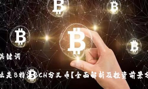 与关键词

什么是B特派BCH分叉币？全面解析及投资前景分析