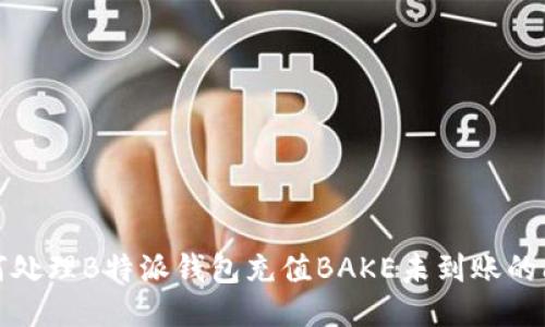 如何处理B特派钱包充值BAKE未到账的问题